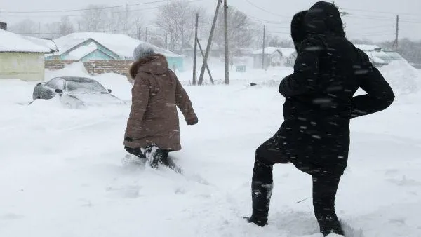 Владимир Михайлов / РИА Новости