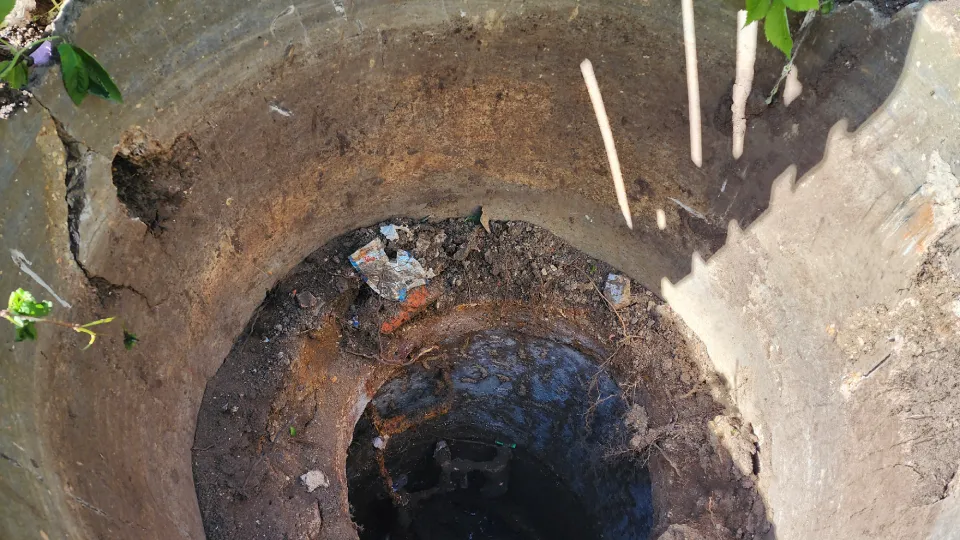 Фото: МедиаБанк Подмосковья/Юлия Смагринская