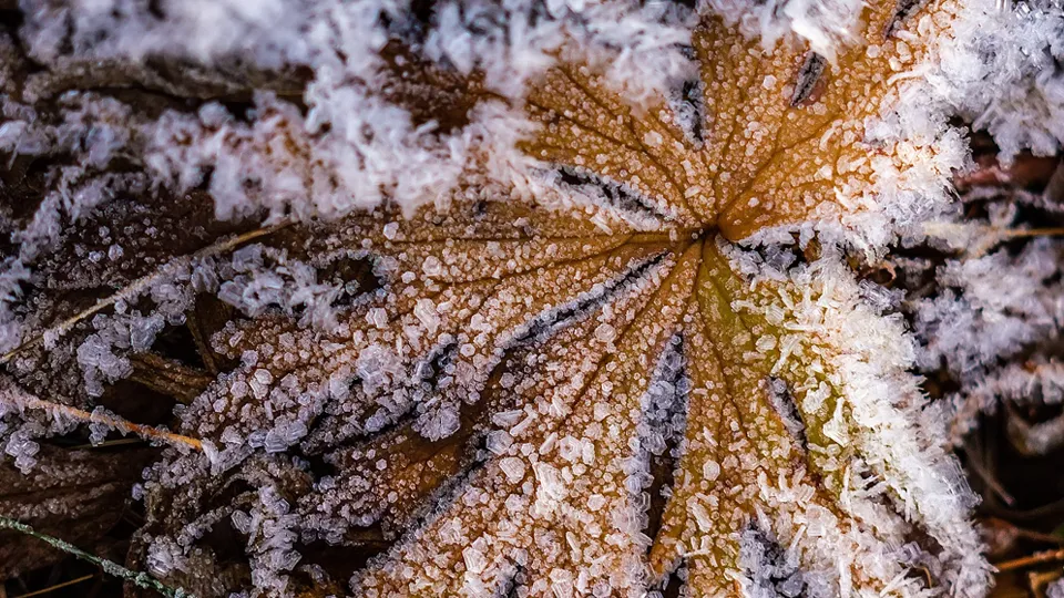 Фото: Антон Кондратюк