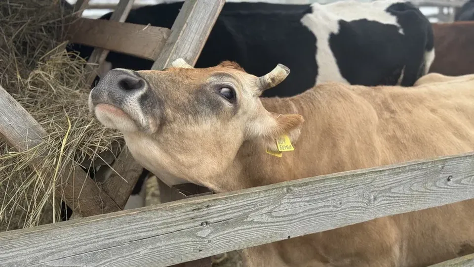 Фото: Полина Абраменко