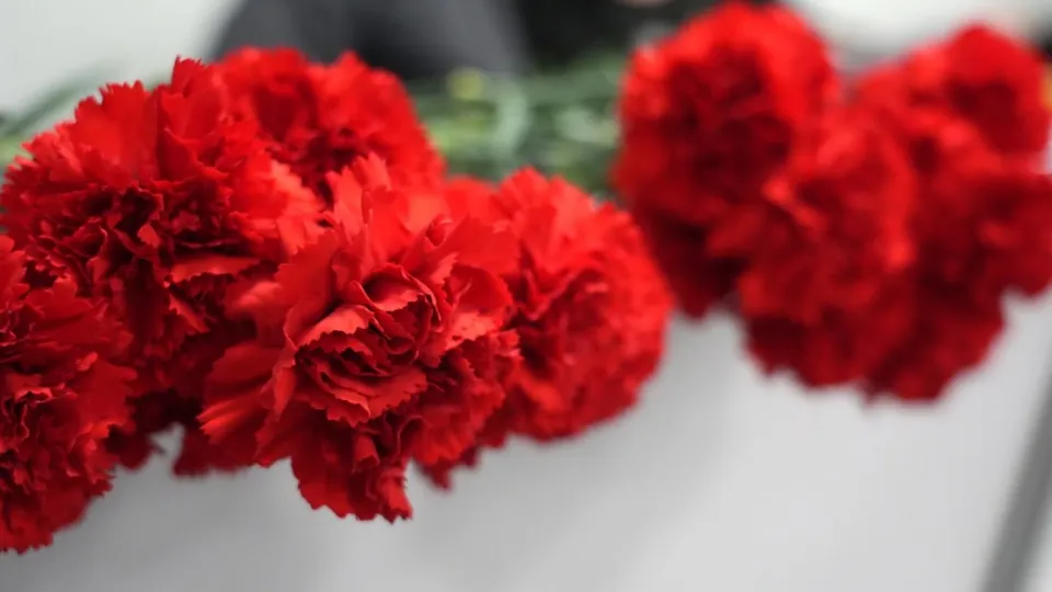 Фото: МедиаБанк Подмосковья/Дмитрий Зайчиков