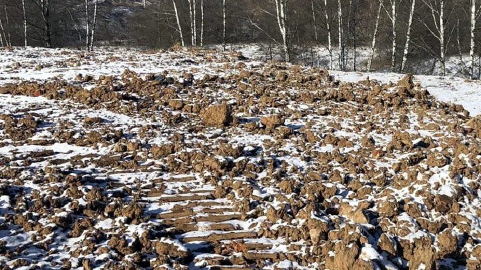 Фото: Минэкологии МО