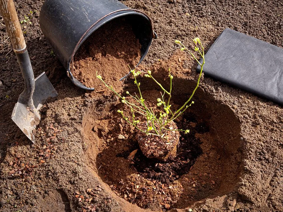 Фото: istockphoto.com