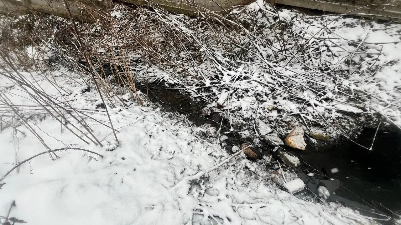 Фото: Минэкологии Московской области