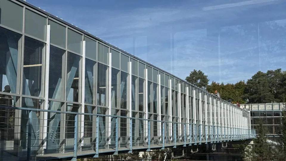 Фото: МедиаБанк Подмосковья/Анна Дука