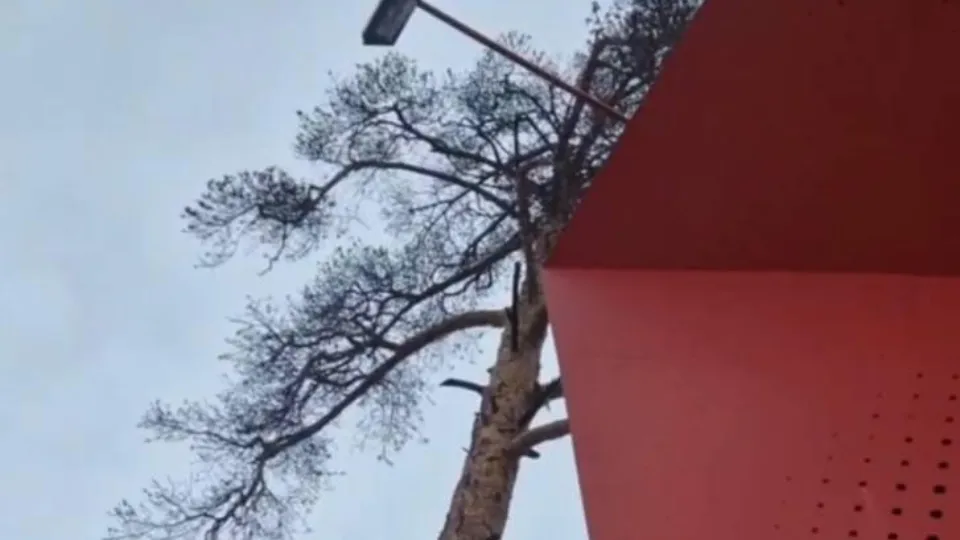 Фото: пресс-служба администрации г.о. Балашиха