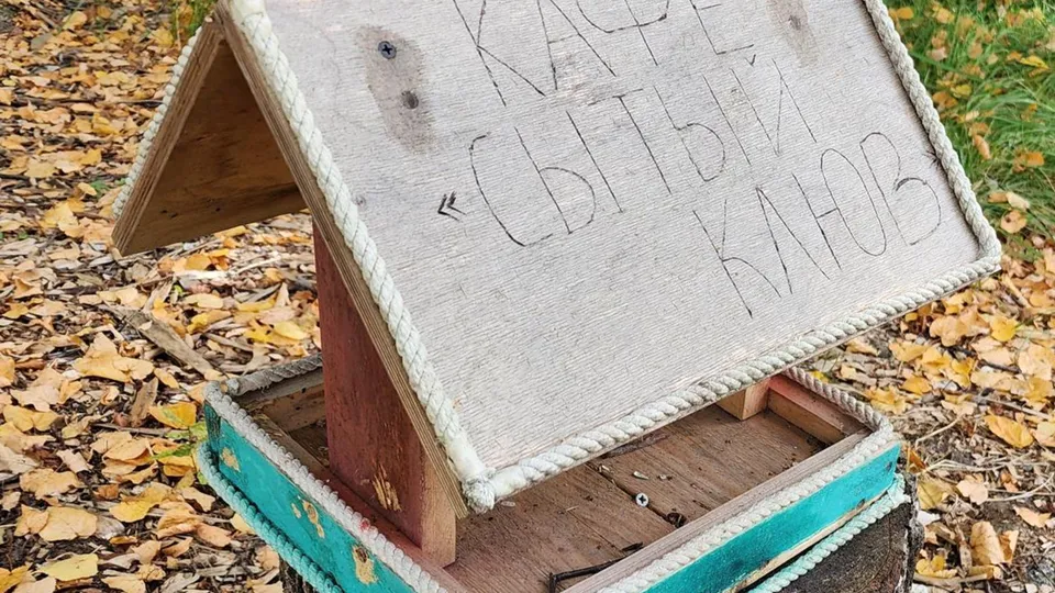 Фото: REGIONS/Наталья Дорошева