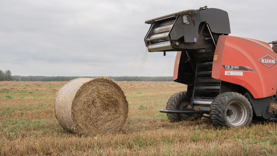 Фото: пресс-служба администрации г.о. Домодедово