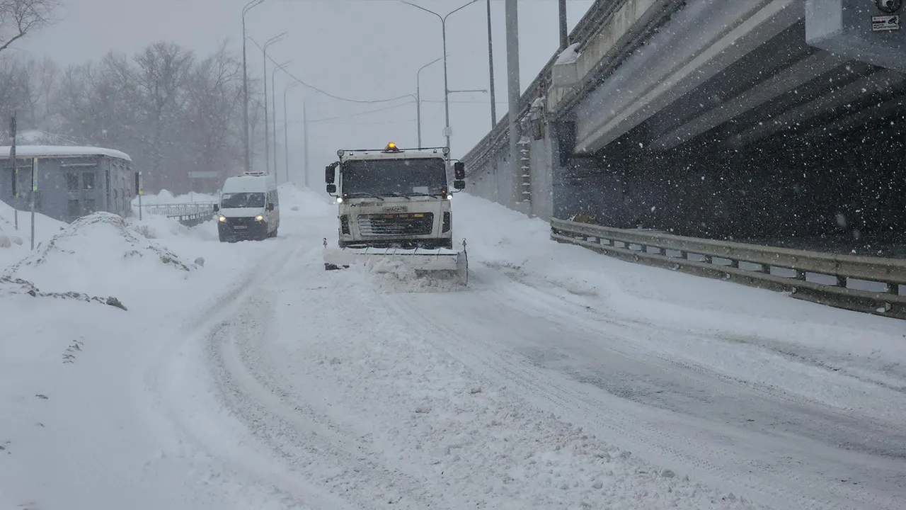 МедиаБанк Подмосковья/Иван Чижов