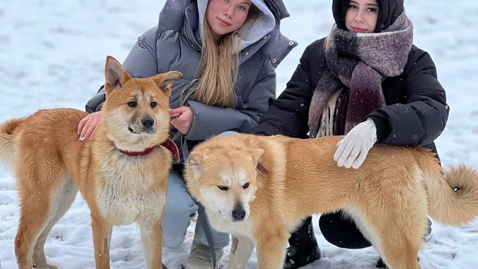 Фото: Минобраз МО