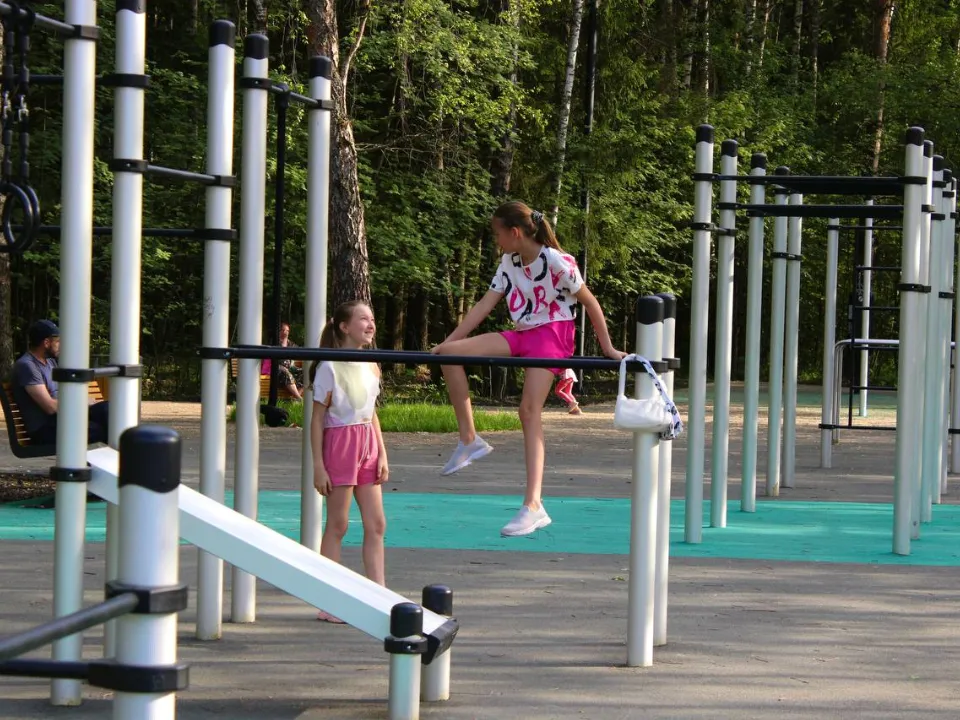 МБУ «Дирекция парков Одинцовского городского округа»