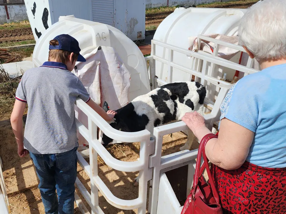 Фото: REGIONS/Роман Кутузов