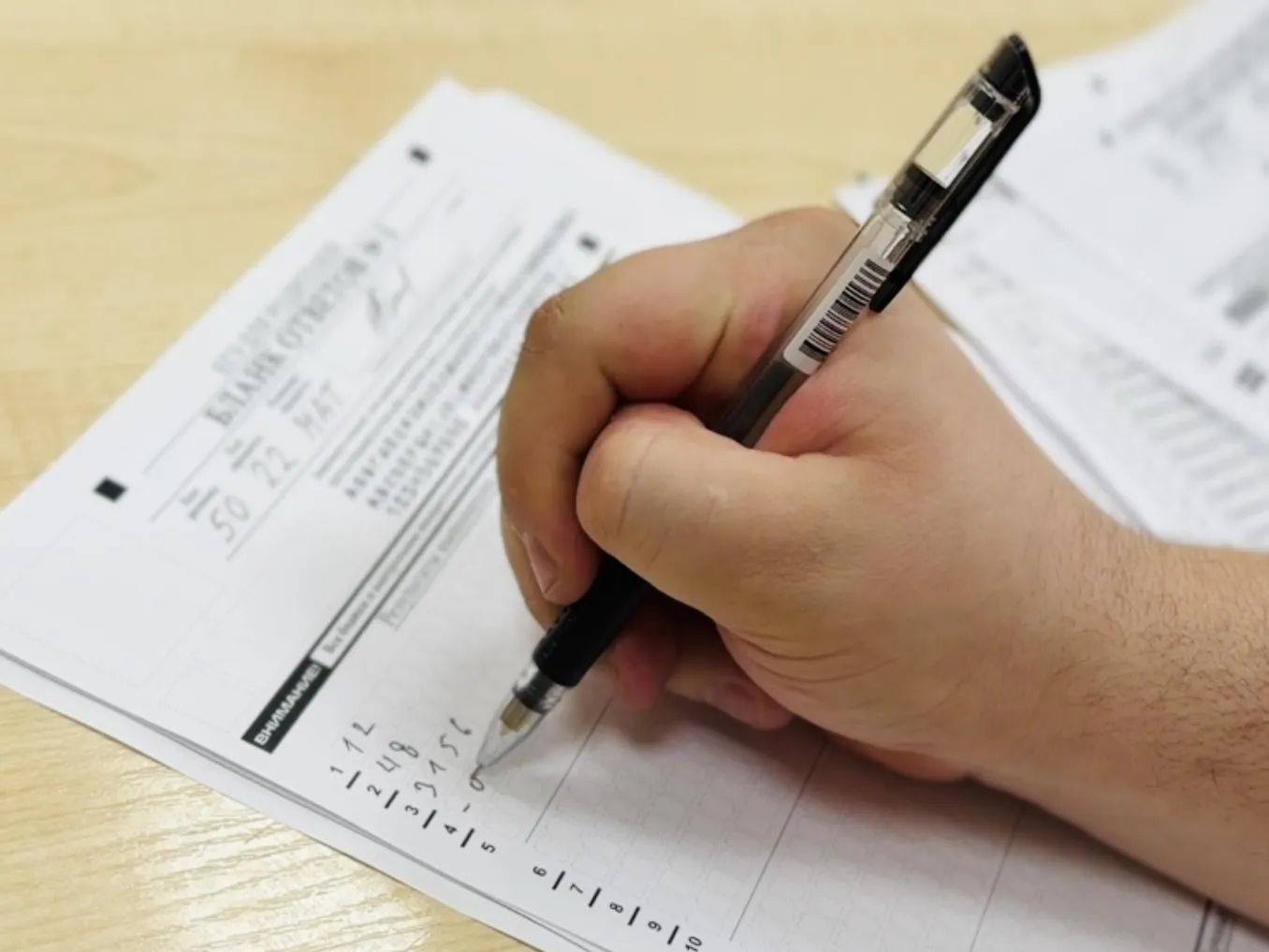 Фото: Ольга Стаферова