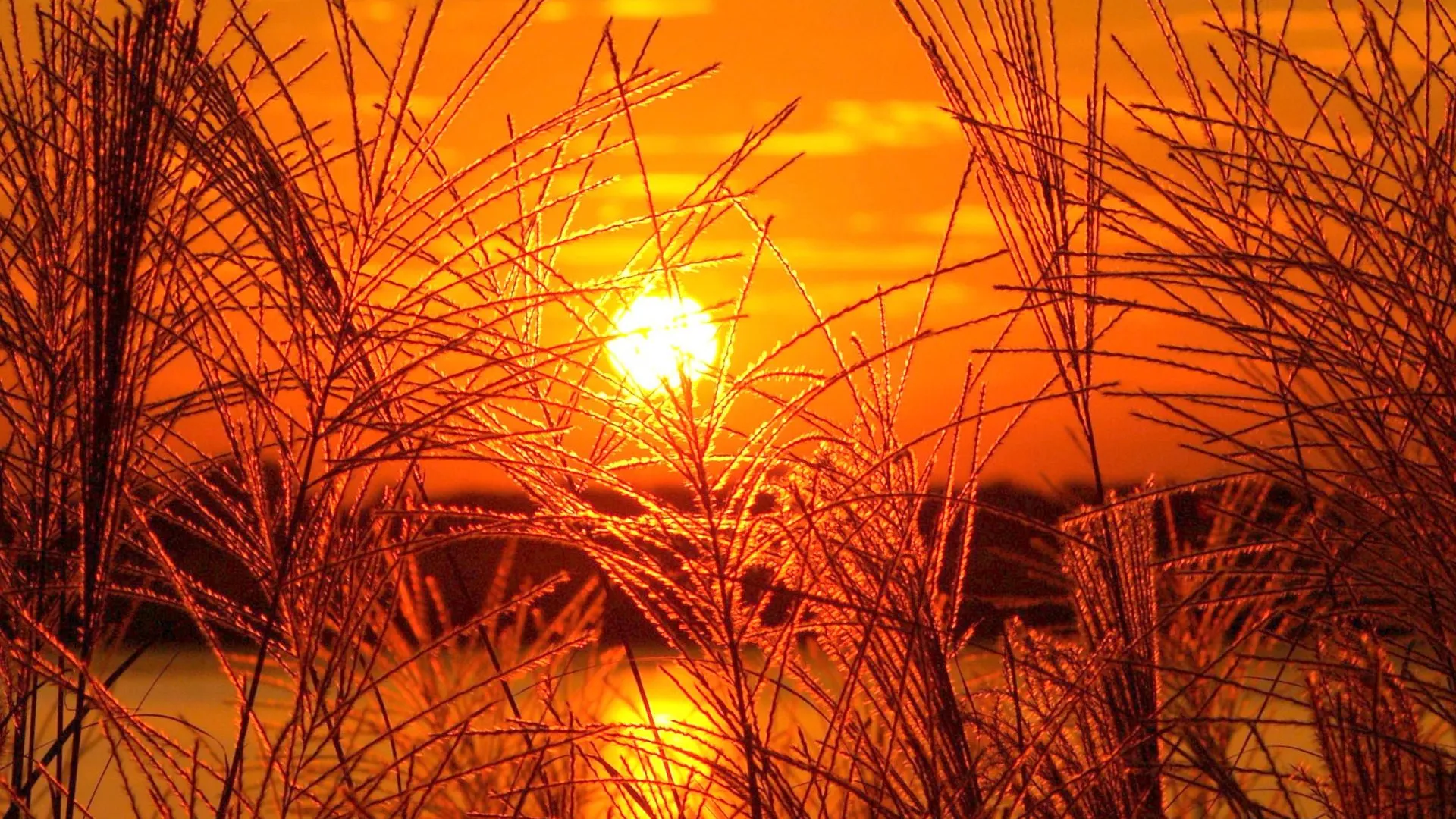 Фото: pxhere.com