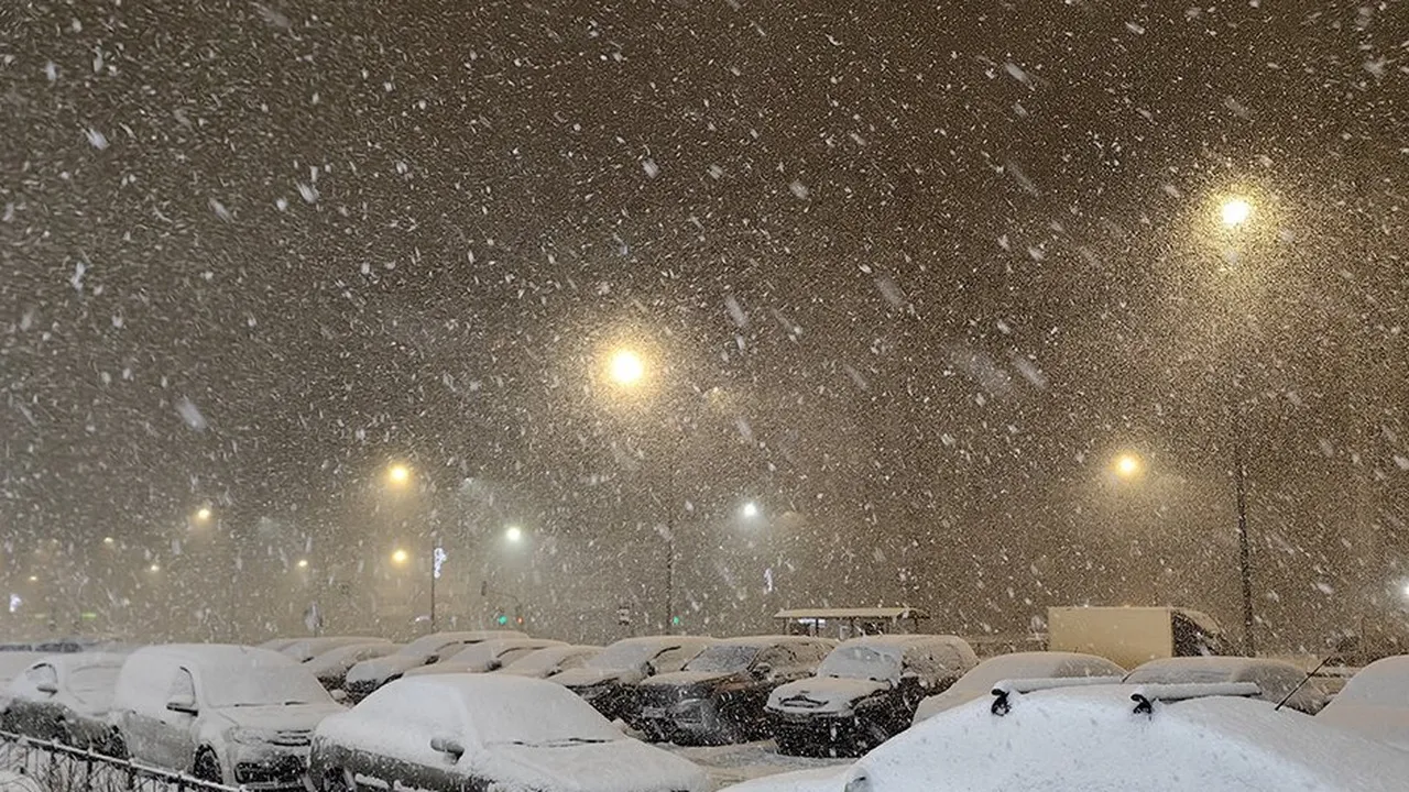 Фото: REGIONS/Евгения Гавриленко