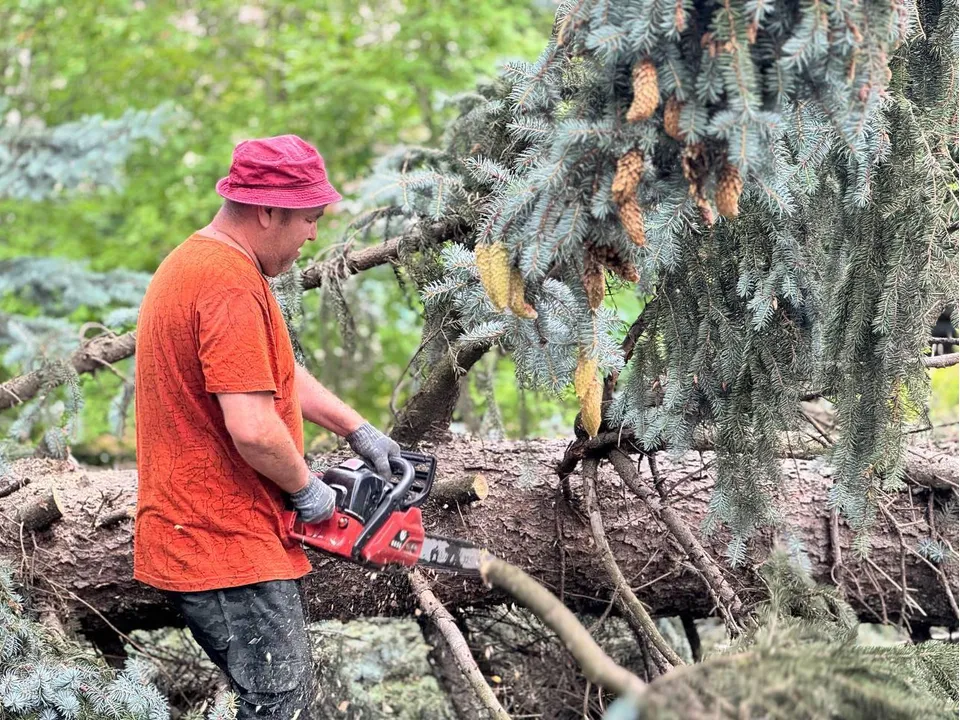 Фото: пресс-служба администрации городского округа Люберцы