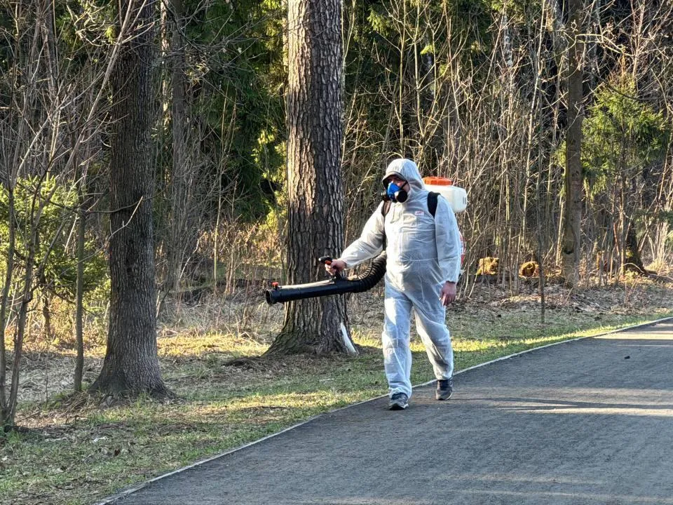Сезон клещей в Подмосковье: как подготовиться и обезопасить свое здоровье