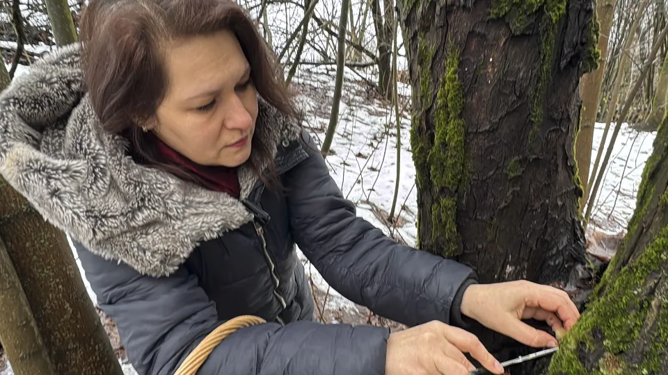 Фото: МедиаБанк Подмосковья/Мария Шматкова