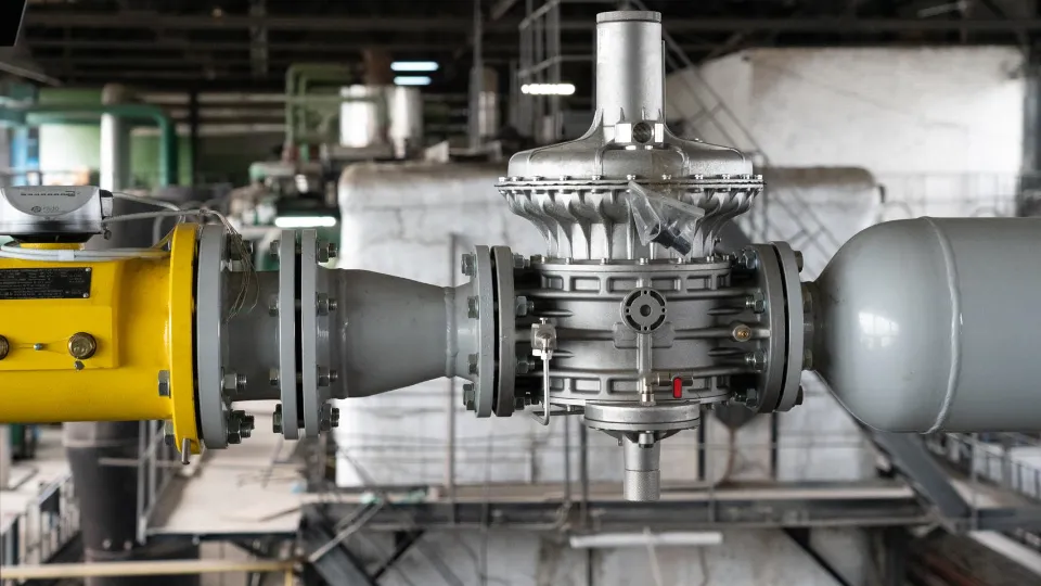 Фото: Медиархив Подмосковья