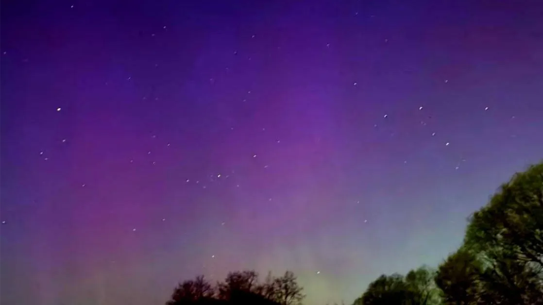 МедиаБанк Подмосковья/Дарья Леонова