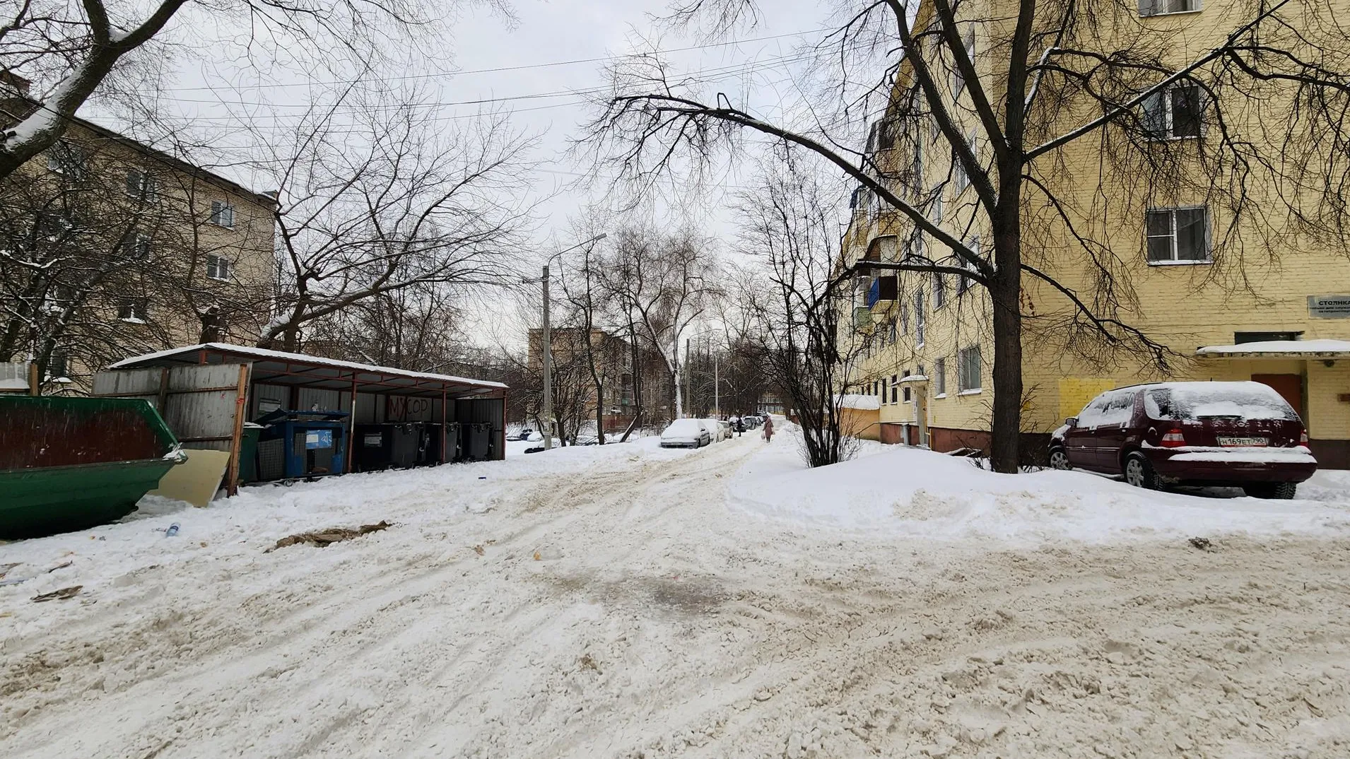 Фото: Светлана Плотникова