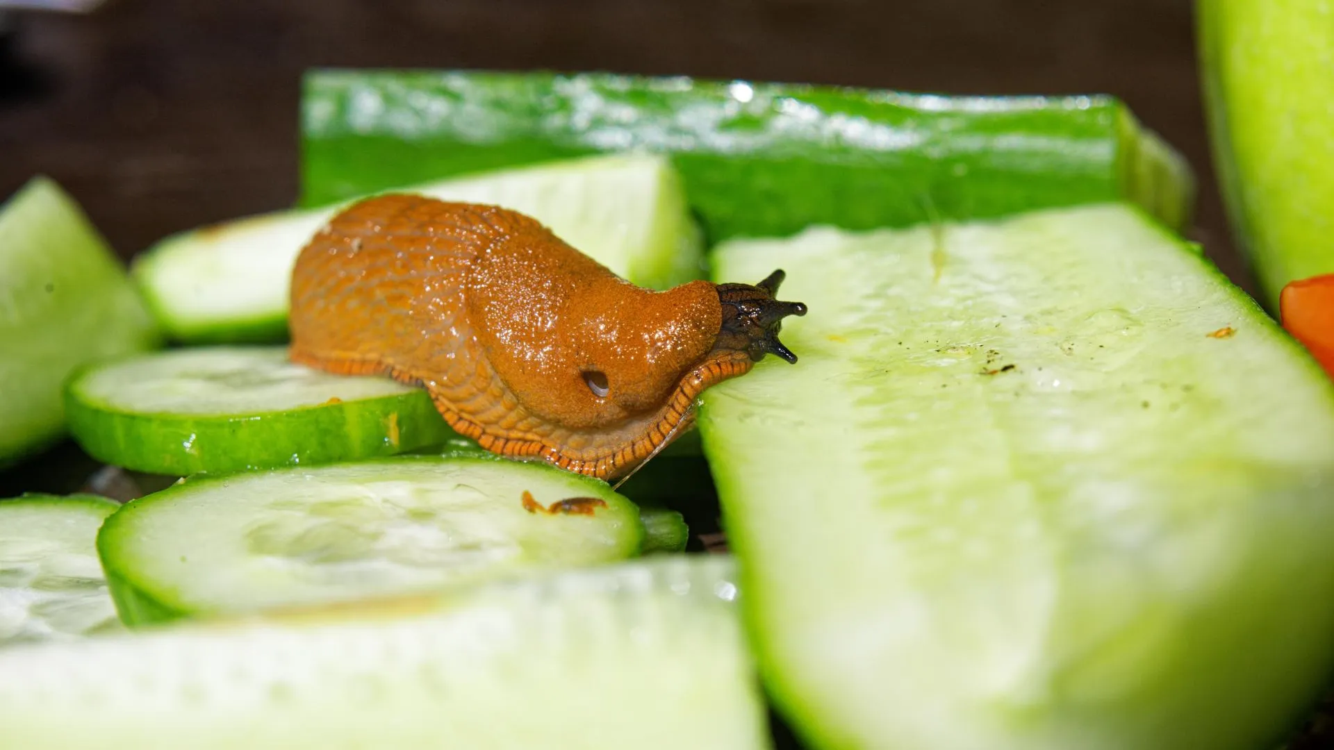 Komsomolskaya Pravda/Global Look Press