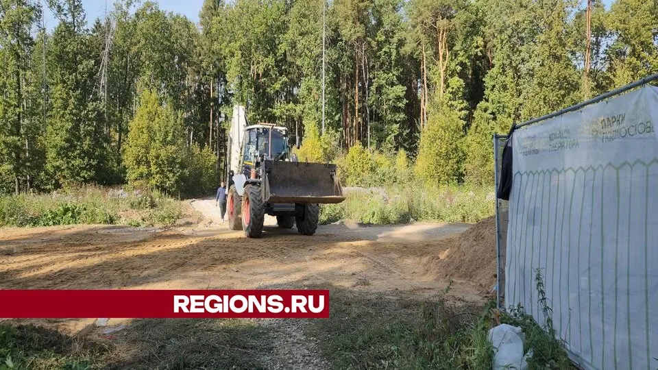 Фото: Никита Сморкалов