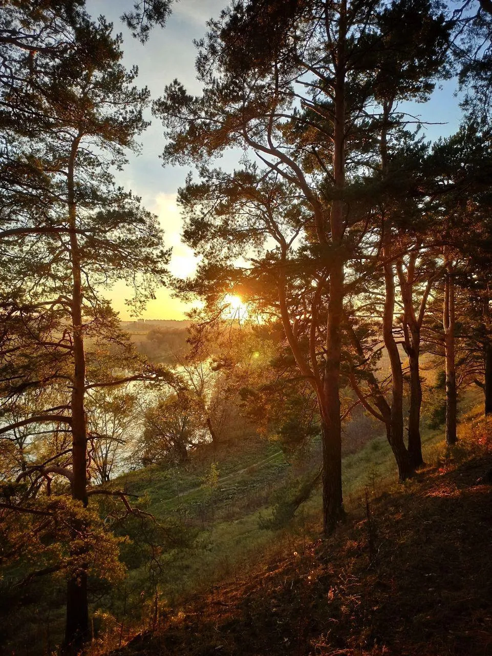 Ангелина Максимова / Местечко Сахалин