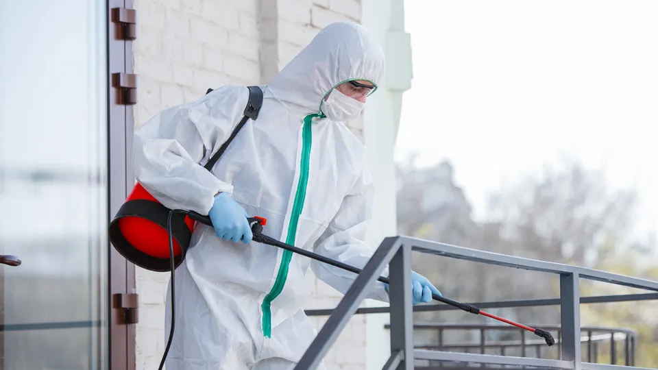 Фото: freepik.com