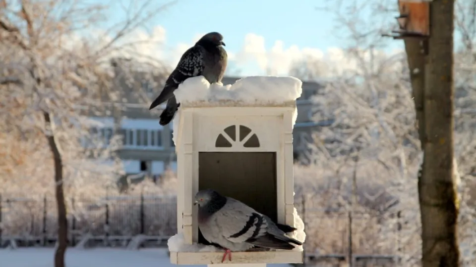 Фото: REGIONS/Наталья Дорофеева