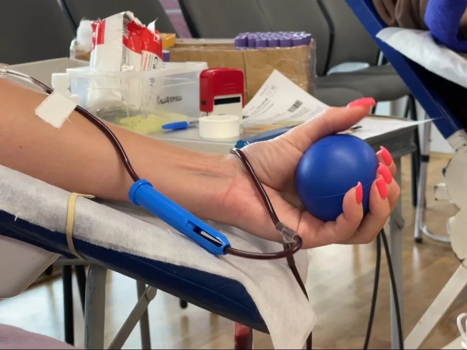 Фото: МедиаБанк Подмосковья/Виктория Фортуна