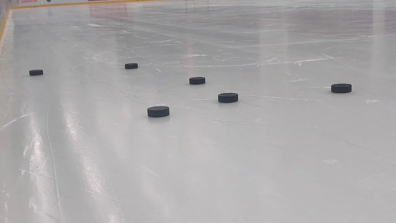 МедиаБанк Подмосковья/Татьяна Афанасьева