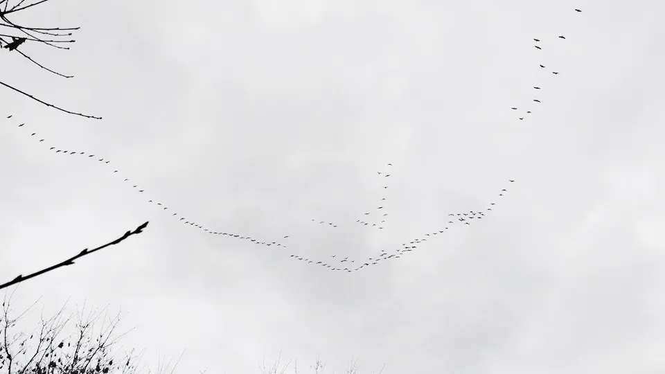 Фото: Елена Рассказчикова