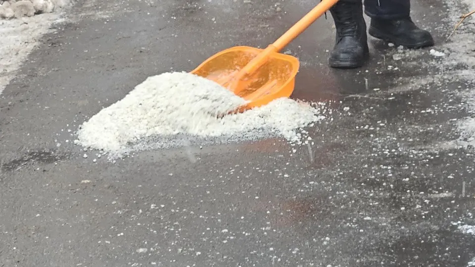 Фото: МедиаБанк Подмосковья/Ольга Вельшикаева