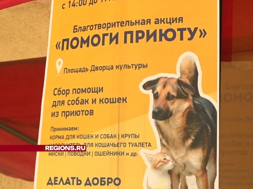 Фото: Елена Аботурова