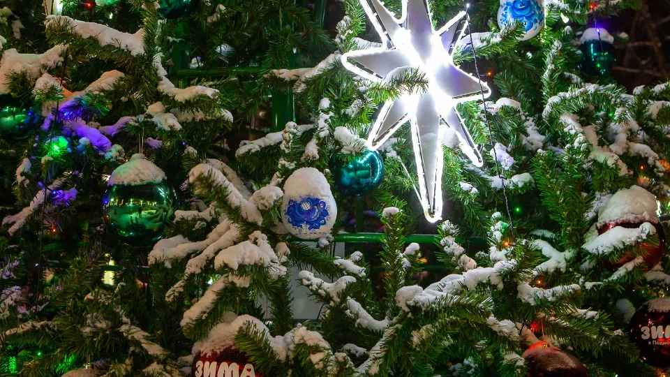 Фото: Раменский медиацентр