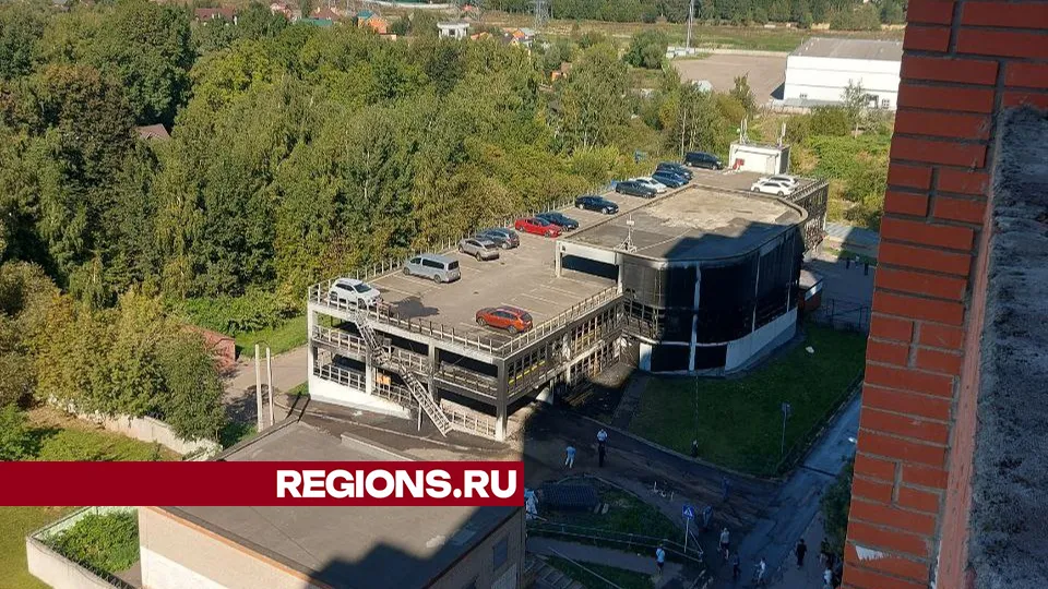 Фото: Инна Стрельчук