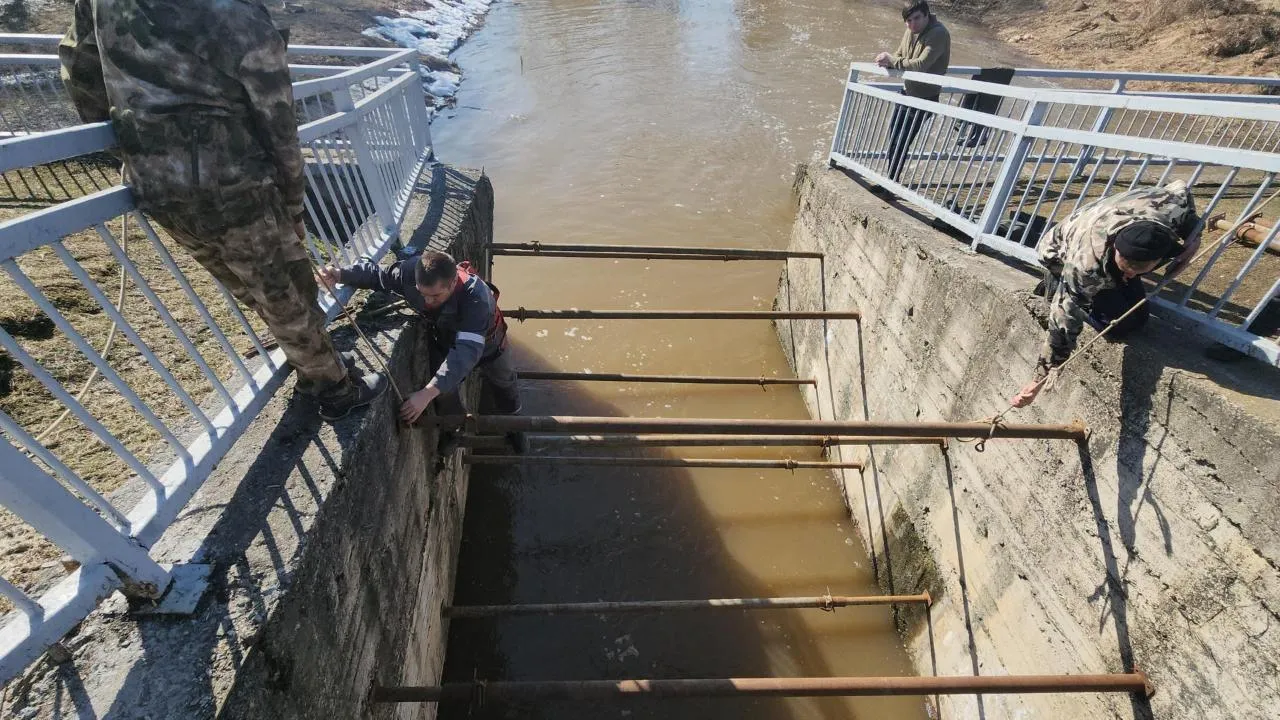 REGIONS/Кристина Ларина