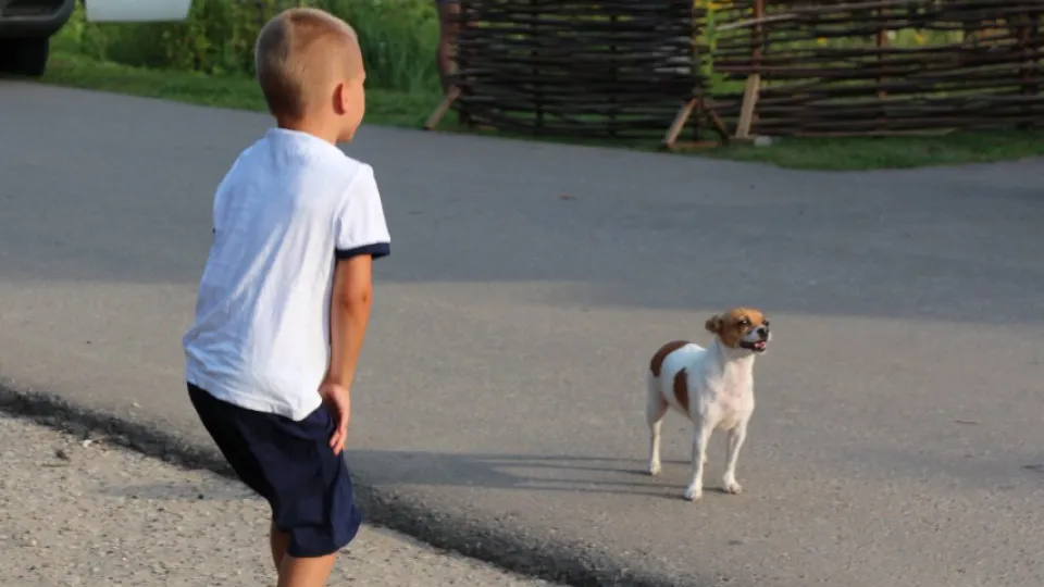 Фото: REGIONS/Наталья Дорофеева