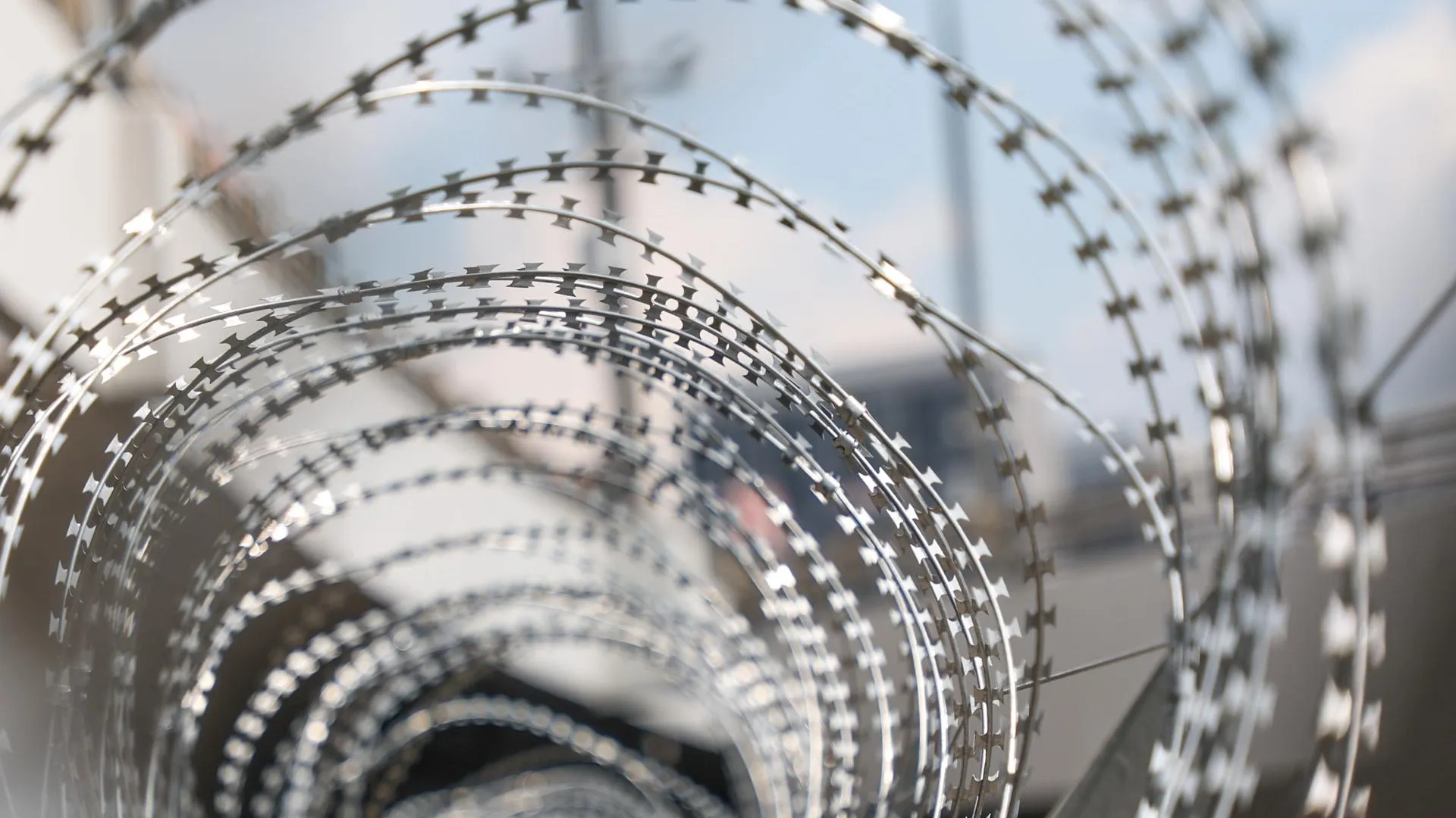 Belkin Alexey/news.ru