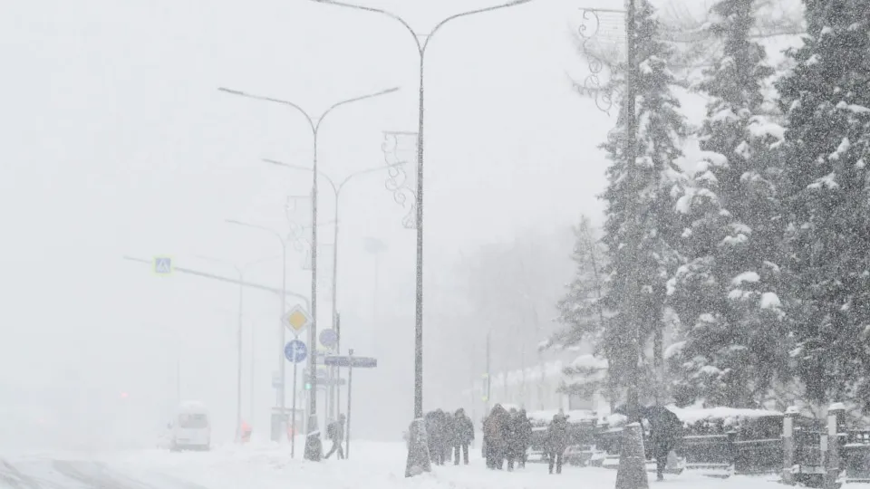 Фото: медиасток.рф