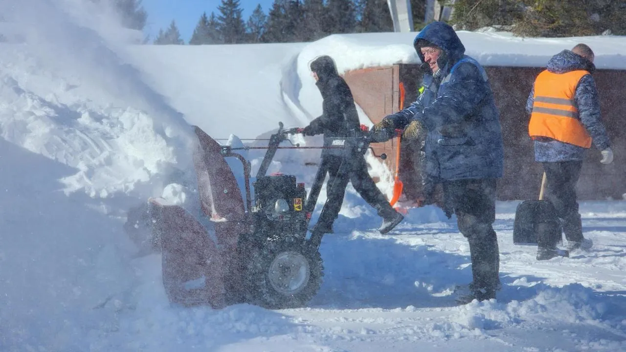 МедиаБанк Подмосковья/Дмитрий Беденко