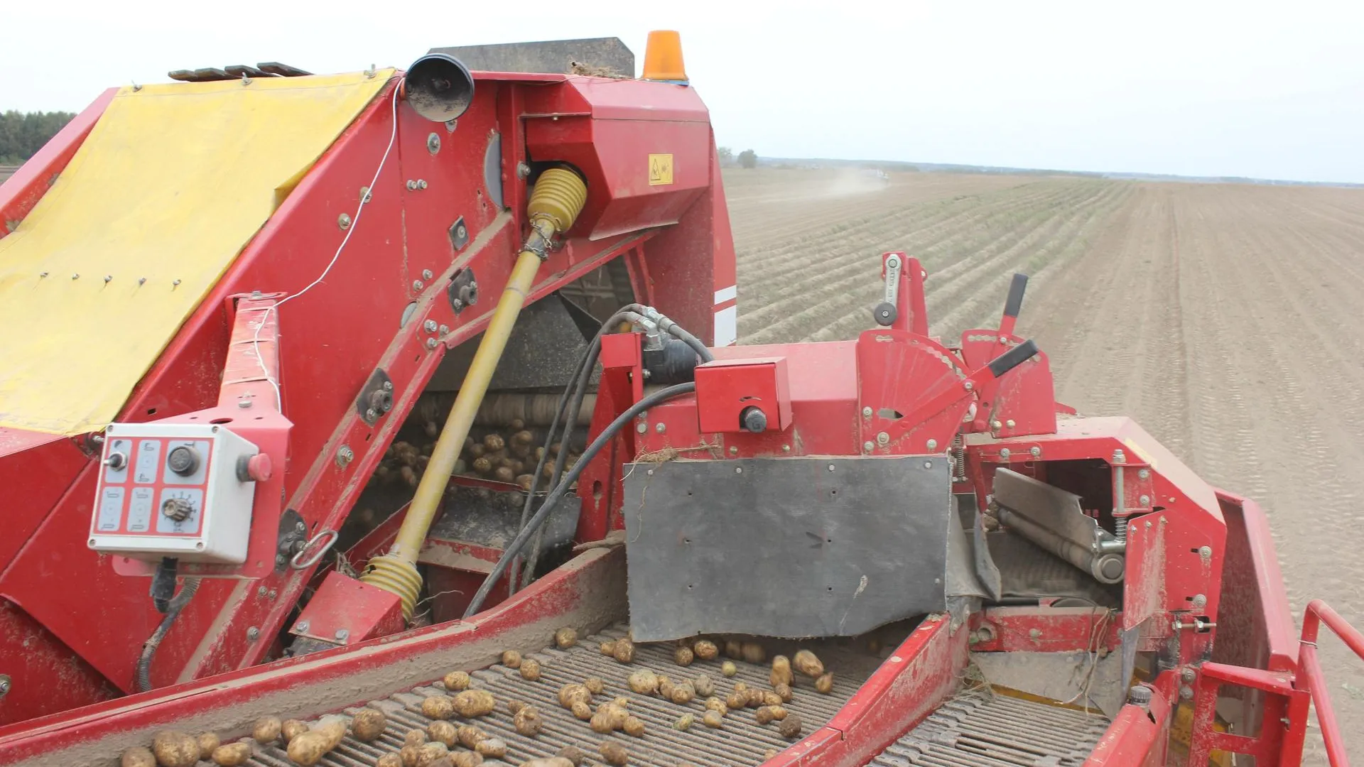 Фото: медиасток.рф