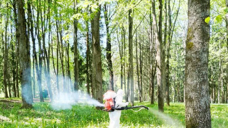 Фото: t.me/tekwzK5a0OE0NzRi