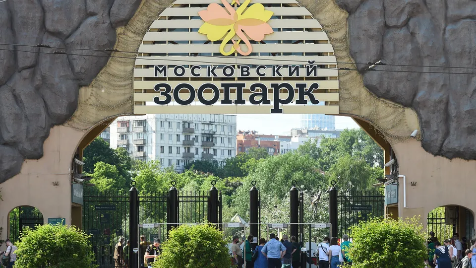 Фото: медиасток.рф