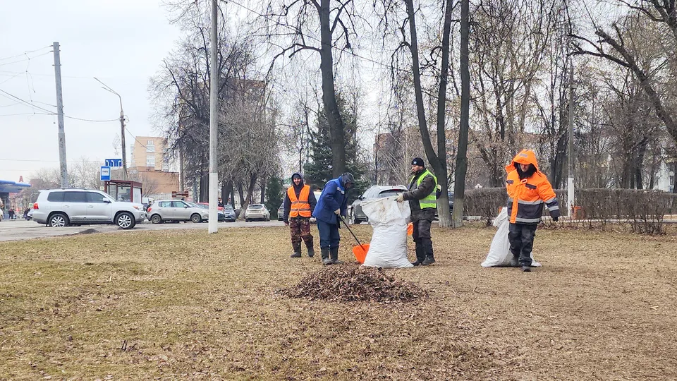 Фото: МедиаБанк Подмосковья / Мария Андрюхина