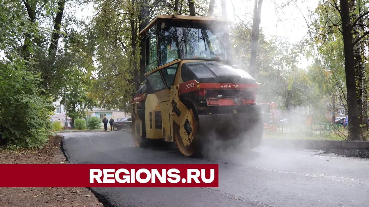 Фото: Василий Тремасов