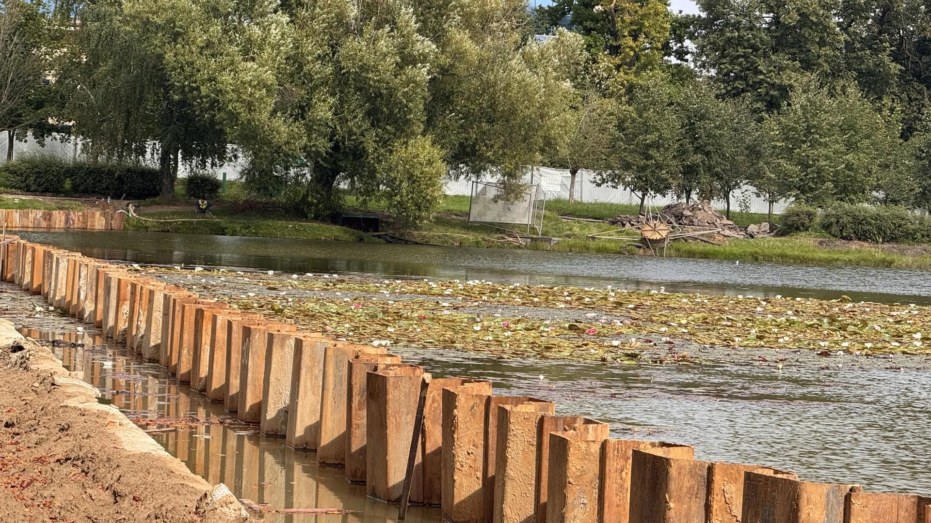 Фото: REGIONS/Мария Шматкова