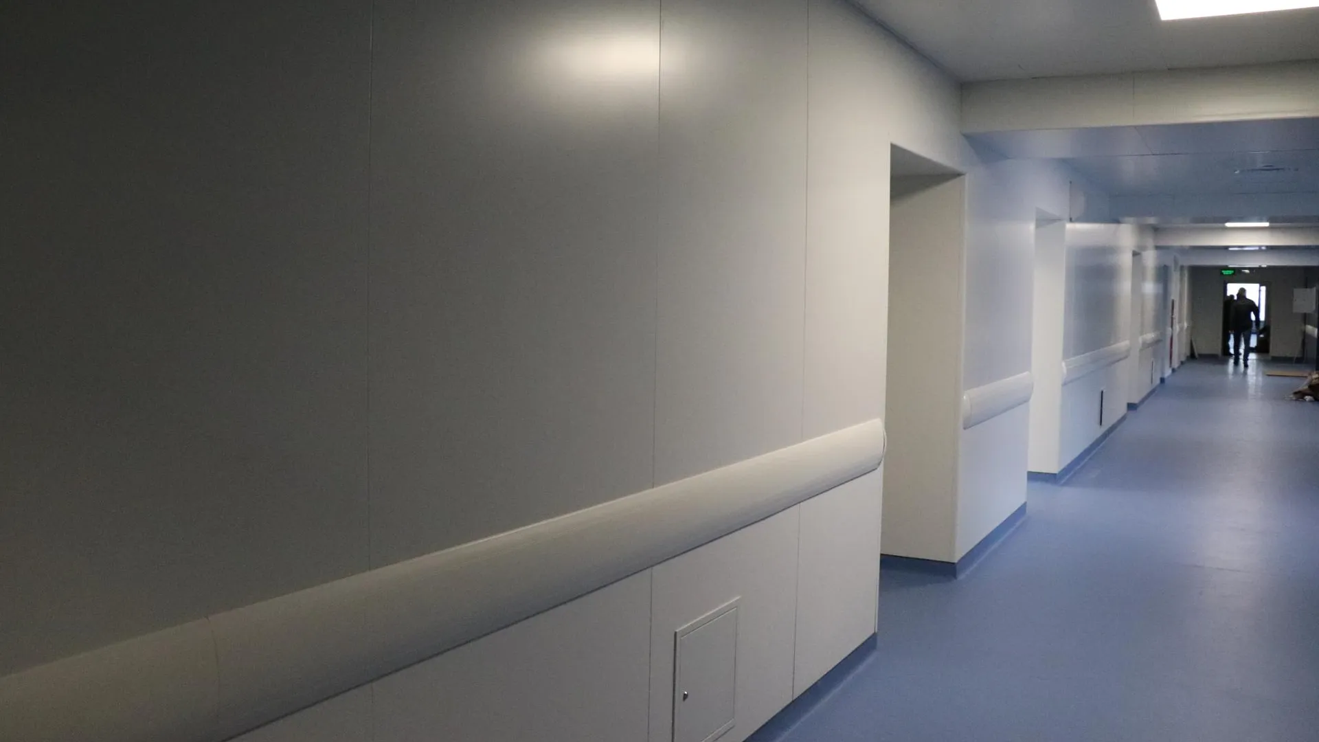 Фото: Василий Тремасов