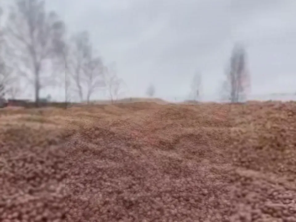 Фото: REGIONS/Василий Тремасов